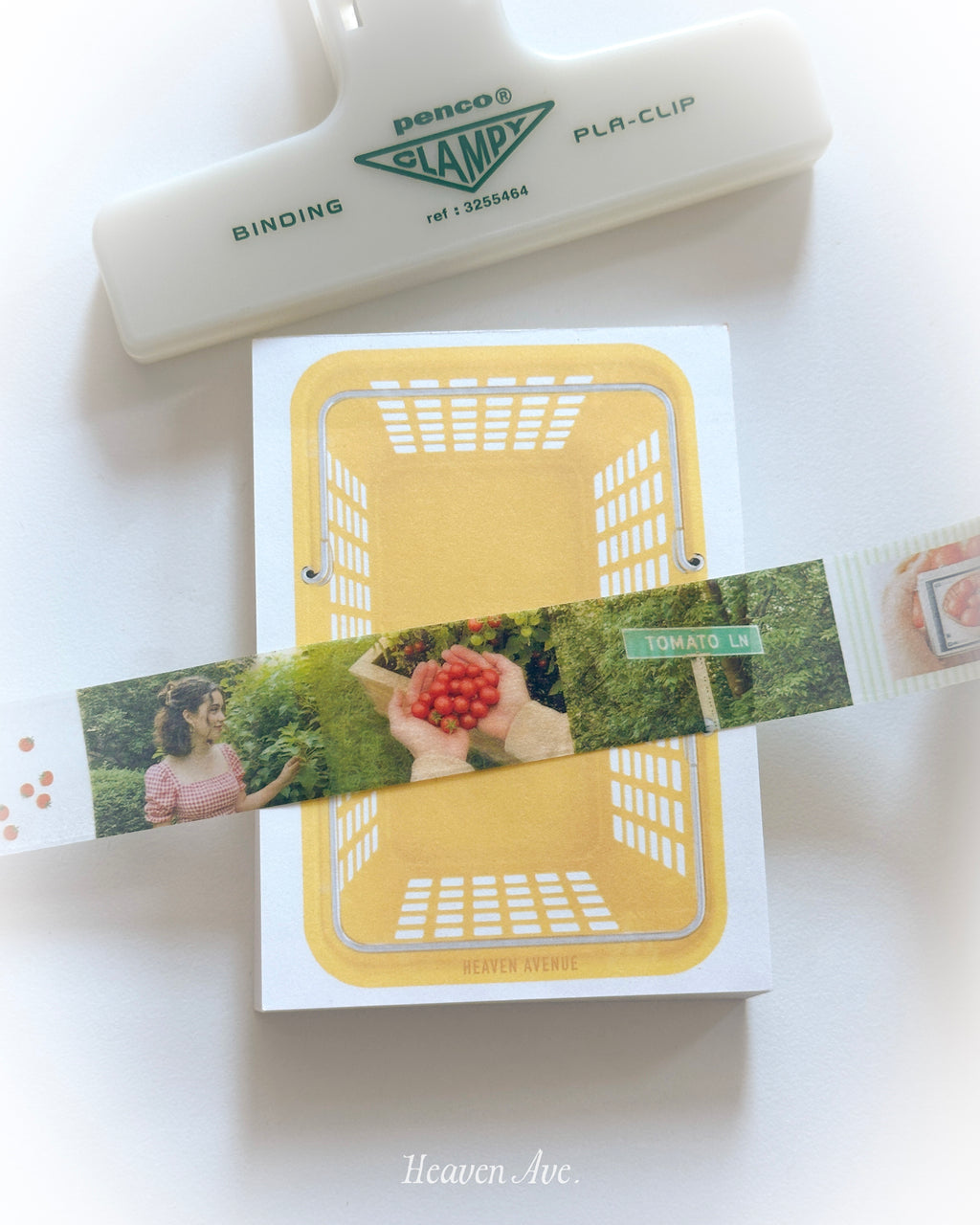 Tomato Day Photo Washi Tape