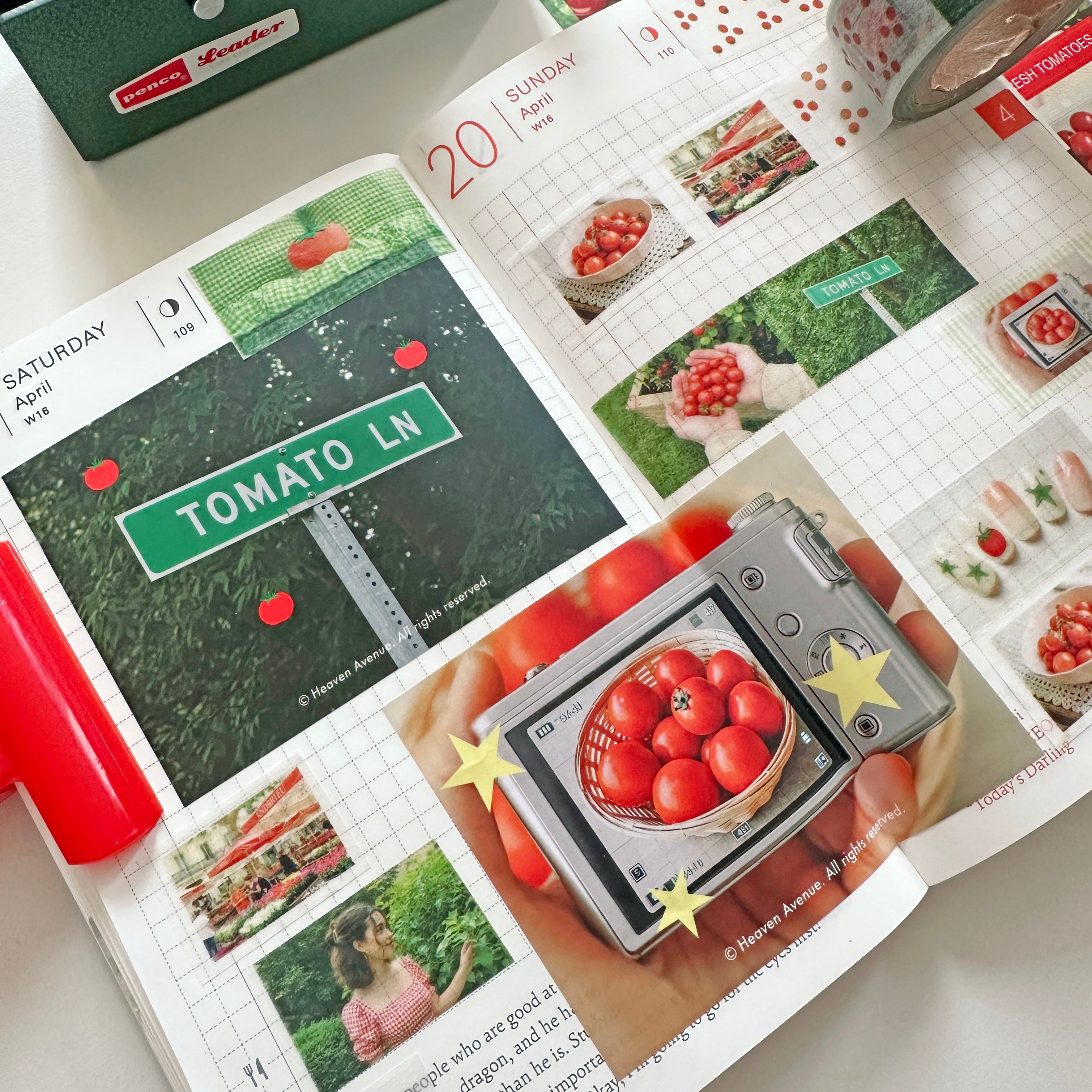 Tomato Day Photo Washi Tape